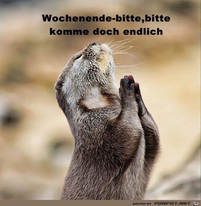 Wochenende