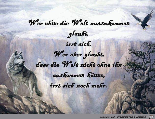 Wer ohne die Welt