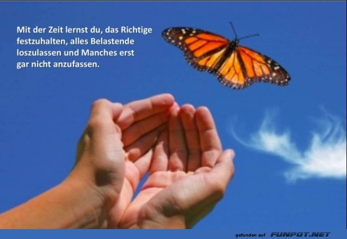 10 schöne Sprüche und Lebensweisheiten aus... 10 schöne Sprüche und Lebensweisheiten aus...