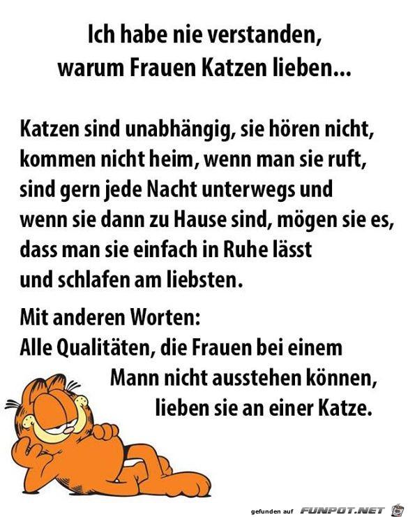 katzen katzen