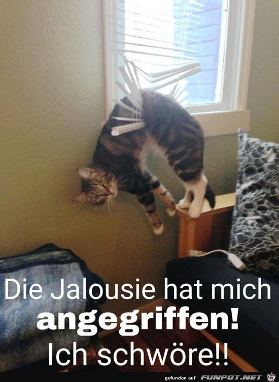 ich schwoere ich schwoere