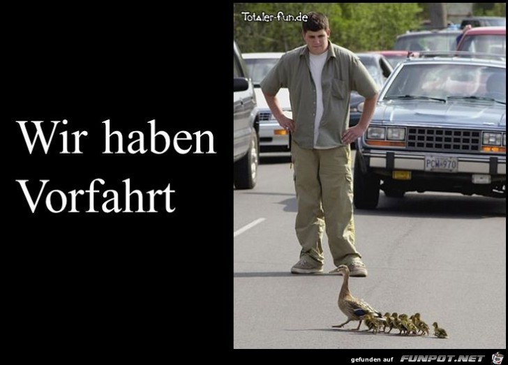 Vorfahrt Vorfahrt