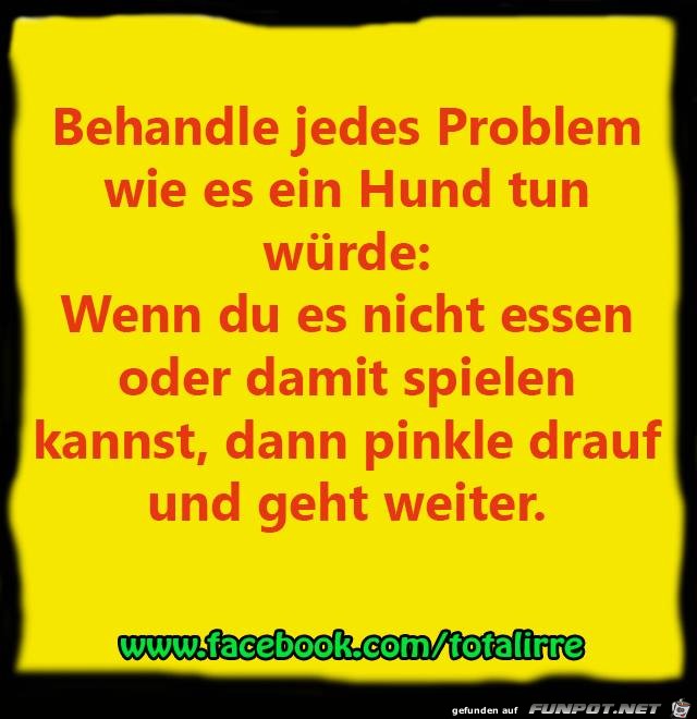 Behandle jedes Problem