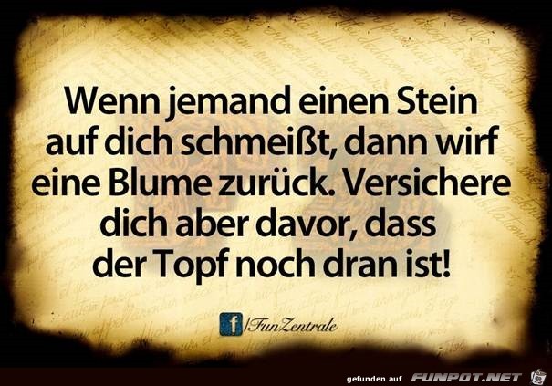 Unbenannt16 Unbenannt16