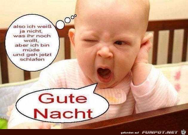 gute Nacht5 gute Nacht5