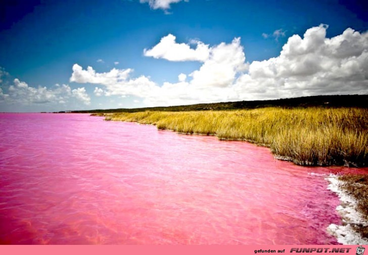Wunder der Natur 26 Wunder der Natur 26