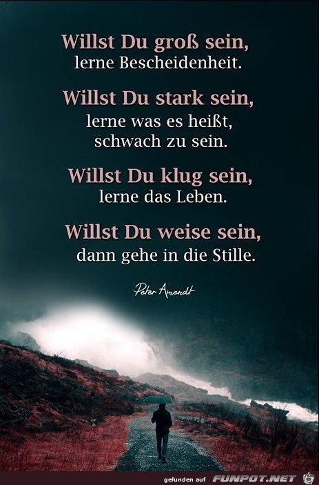 willst du