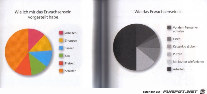 Wirklich klasse Statistikauswertungen!