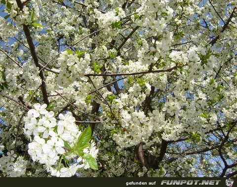 DSC00260 DSC00260