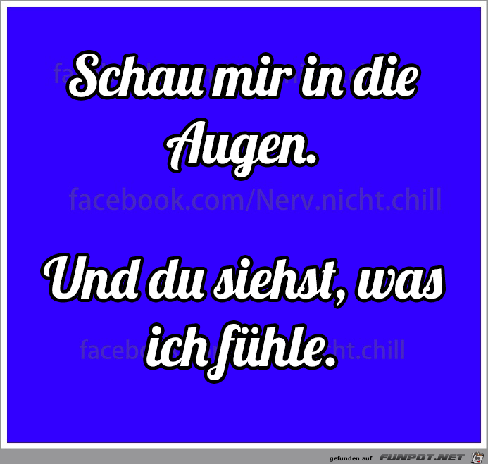 Schau mir in die Augen Schau mir in die Augen
