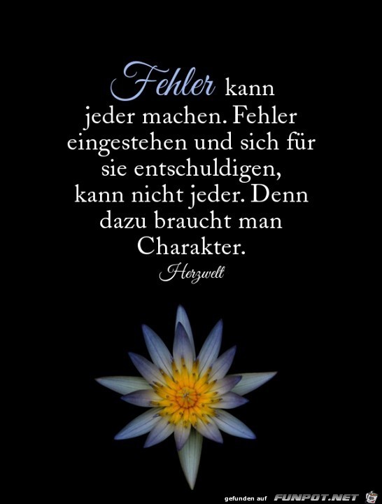 Fehler kann jeder machen Fehler kann jeder machen