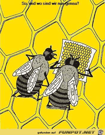 Bienen mit stadtplan