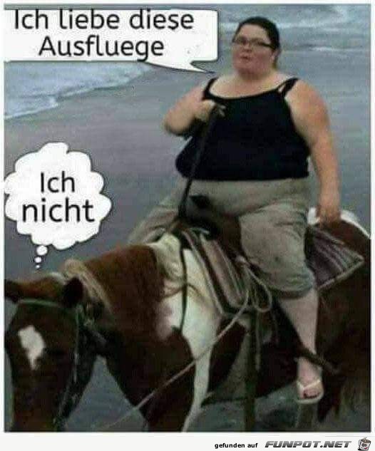 Ausfluege