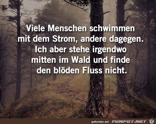 mit dem Strom