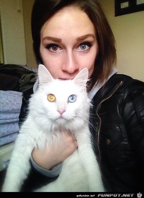 zwei augen zwei augen