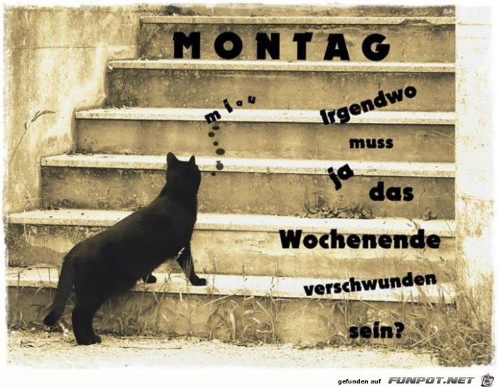 montag