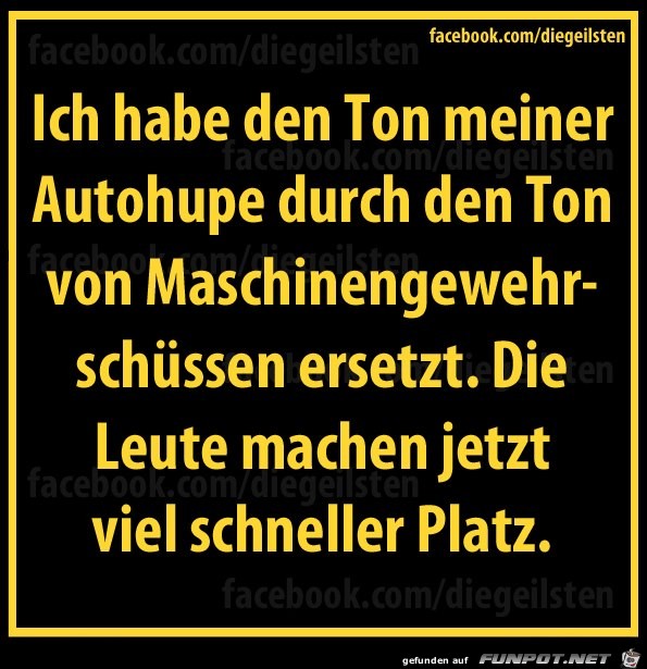 diegeilsten Autohupe