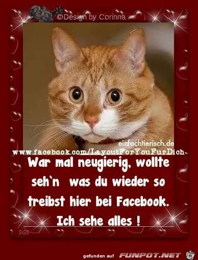 neugierig neugierig