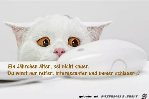 Schlauer Schlauer