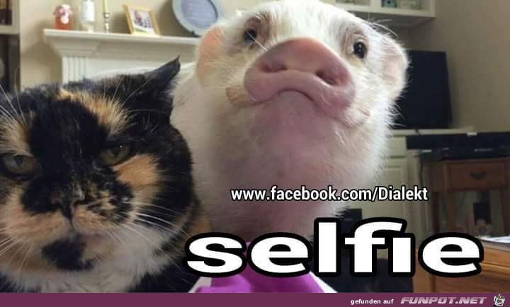selfie selfie