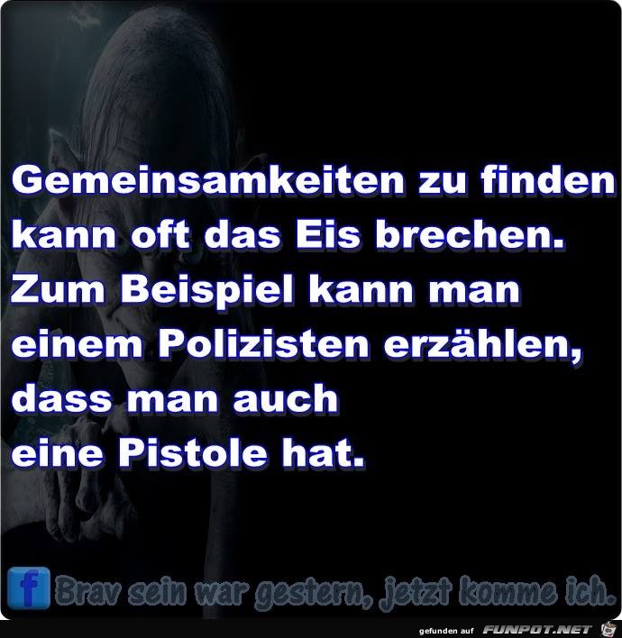 Gemeinsamkeiten Gemeinsamkeiten