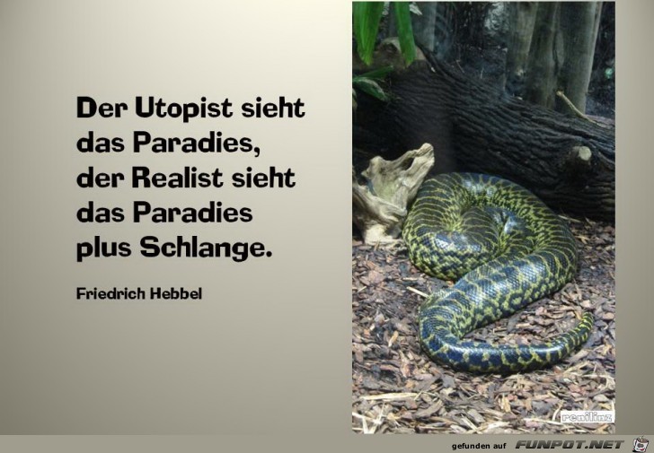 Der Utopist sieht