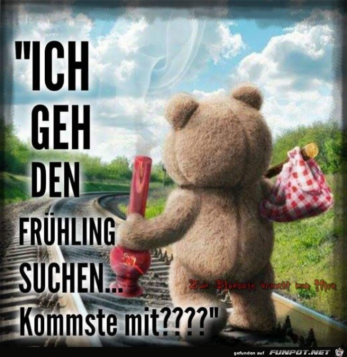 Fruehling suchen