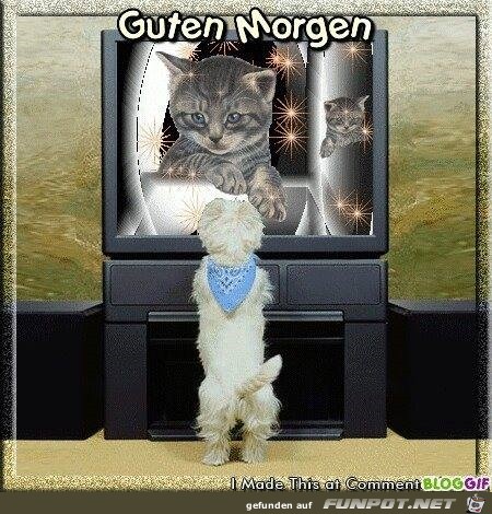 guten morgen guten morgen