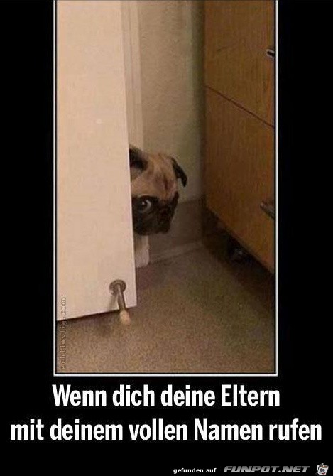 rufen rufen