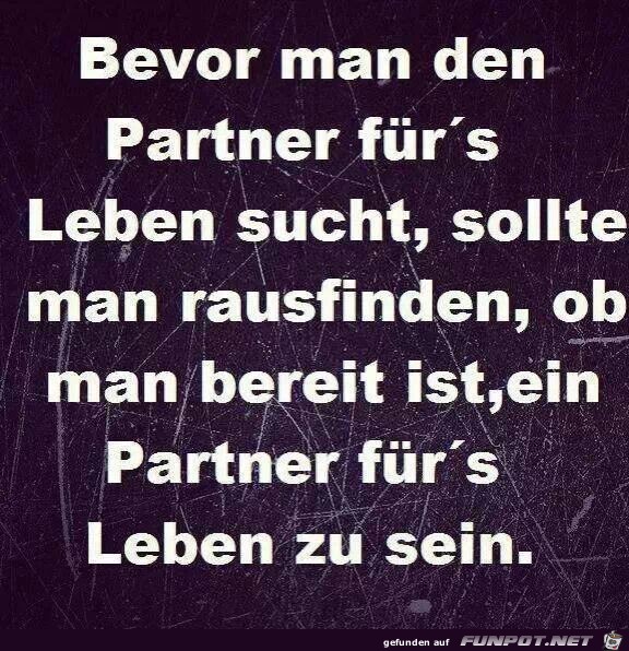 Partner fürs Leben Partner fürs Leben