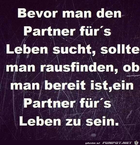 Partner frs Leben