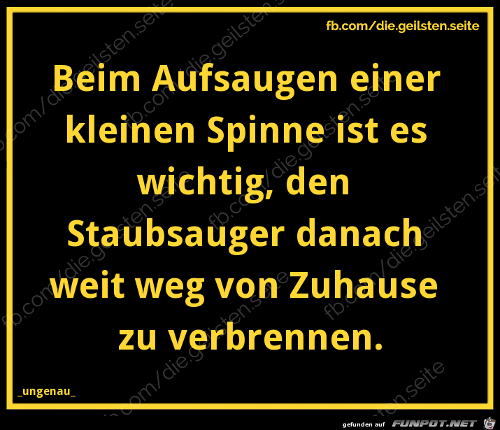 diegeilsten Spinne Aufsaugen diegeilsten Spinne Aufsaugen