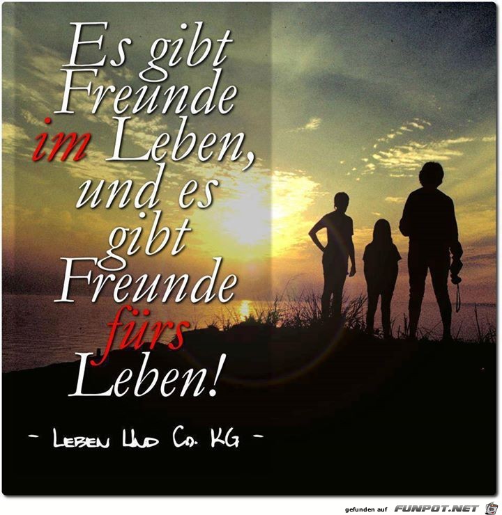 Freunde fuer s Leben