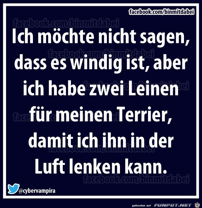 Windig Windig