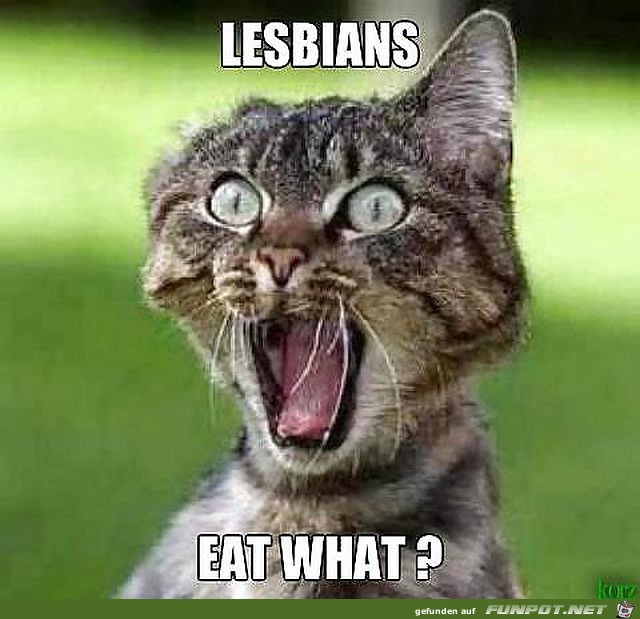 Wat Wat