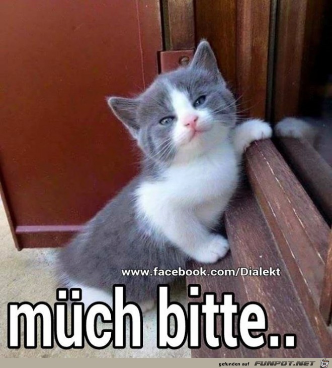 Milch bitte Milch bitte