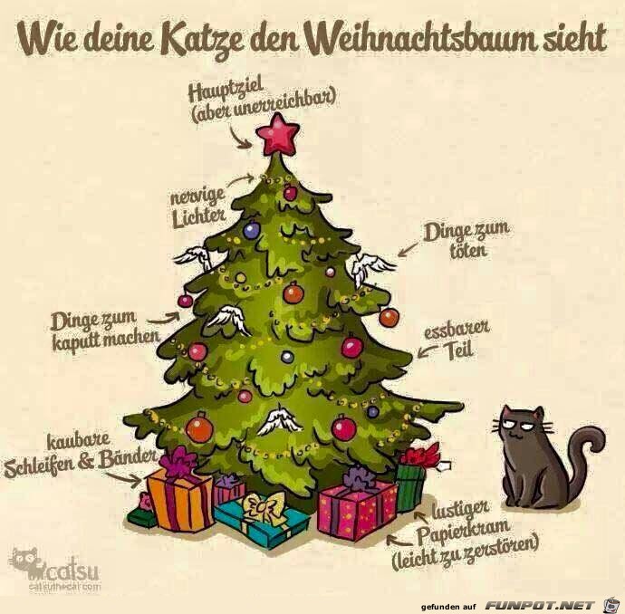 Katze und Weihnachtsbaum