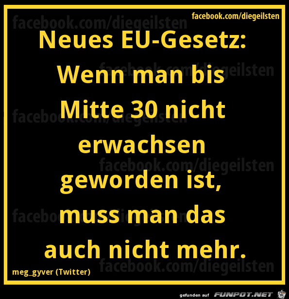 diegeilsten EU-Gesetz