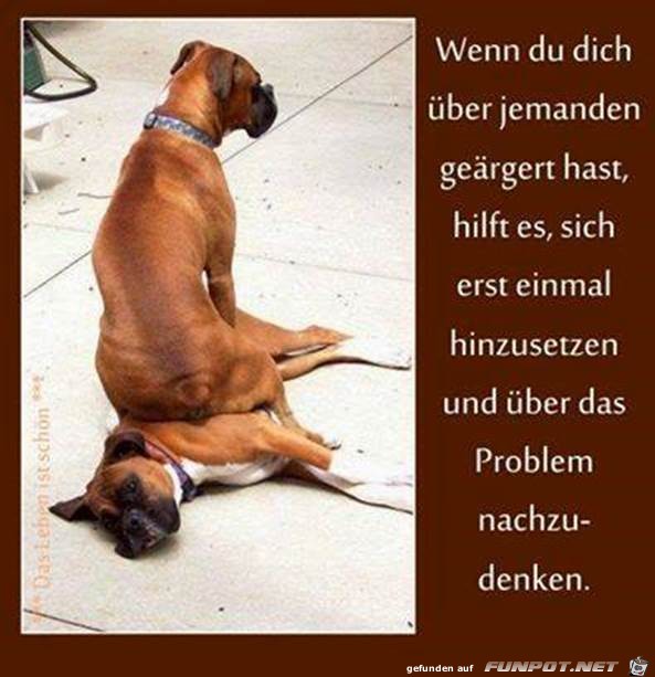 erstmal hinsetzen erstmal hinsetzen