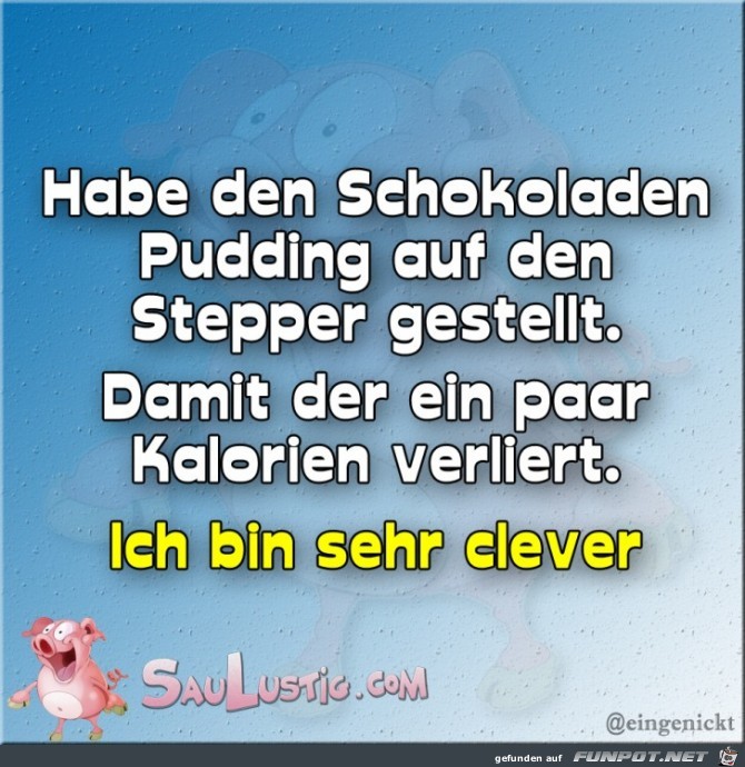 Schokoladen-Pudding