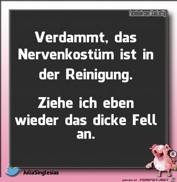 Mein Nervenkostuem ist in der Reinigung Mein Nervenkostuem ist in der Reinigung