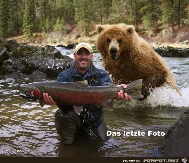 das letzte das letzte