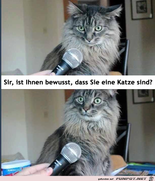 Ist ihnen bewusst Ist ihnen bewusst