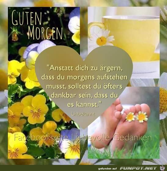 aufstehen aufstehen