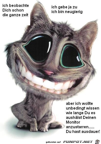 ich beobachte dich schon eine ganze zeit ich beobachte dich schon eine ganze zeit