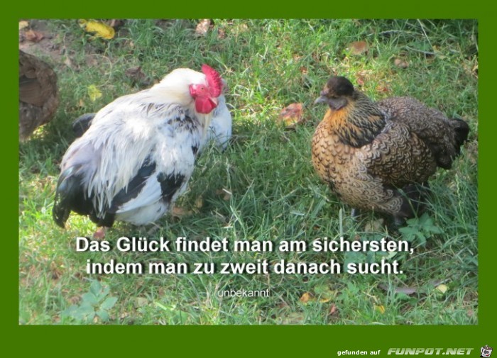 Das Glueck findet