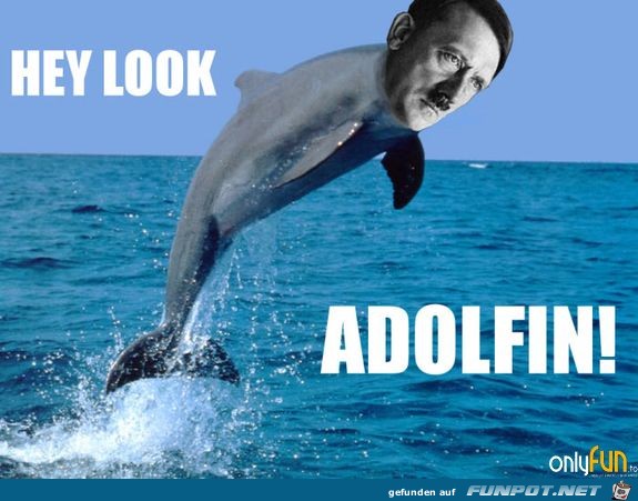 hey look a Dolfin hey look a Dolfin