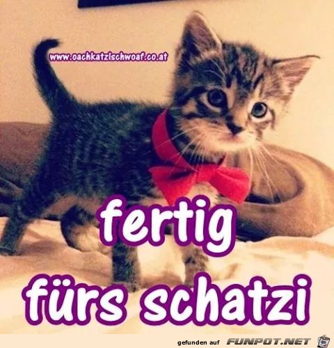fertig fuers schatzi fertig fuers schatzi