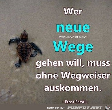 neue Wege