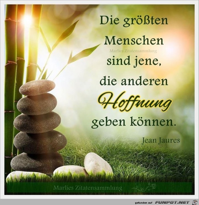 Hoffnung 3